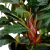 imgi 14 imagegen (1)