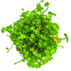 imgi 14 imagegen (2)