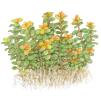 imgi 13 imagegen (3)