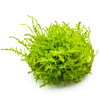imgi 12 imagegen