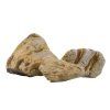 yangtse 1 scale w