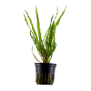 imgi 3 imagegen (2)