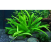 imgi 14 imagegen (2)