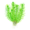 imgi 13 imagegen (3)
