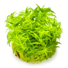 imgi 13 imagegen (2)