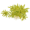 imgi 12 imagegen (3)