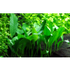 imgi 13 imagegen (3)
