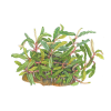 imgi 10 imagegen (2)