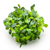 imgi 10 imagegen (1)