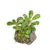 imgi 13 imagegen (2)