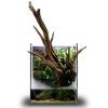 35E Foresta Paludarium Rimless Glass Tank Image Stack 00 Main Image