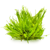 imgi 14 imagegen (2)
