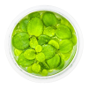 imgi 10 imagegen (1)