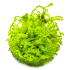 imgi 11 imagegen (2)