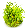 imgi 12 imagegen (1)