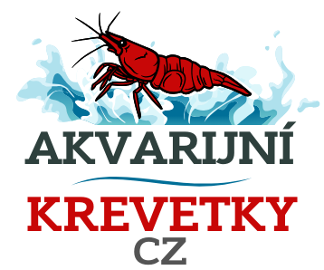 Akvarijní krevetky