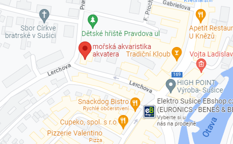 Titulka