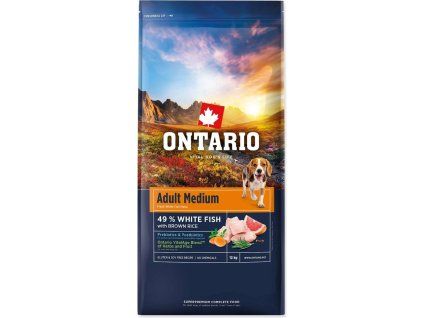 3d06eb78 7925 4fdd b4b4 f68e1091ef4b