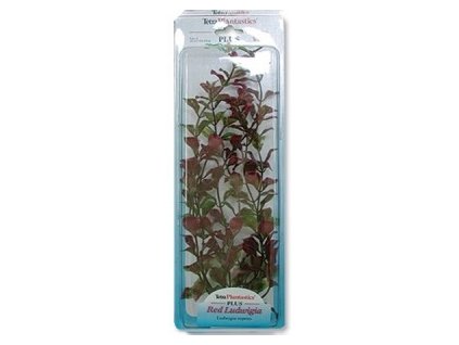 Tetra rostlina red ludwigia 30 cm