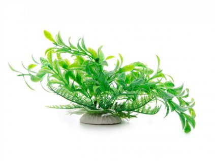 18365 jk animals akvarijni rostlinka ludwigia zelena 14 17 cm 1