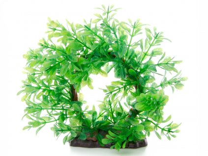 18379 jk animals akvarijni rostlinka ludwigia ring pr 16 cm 1