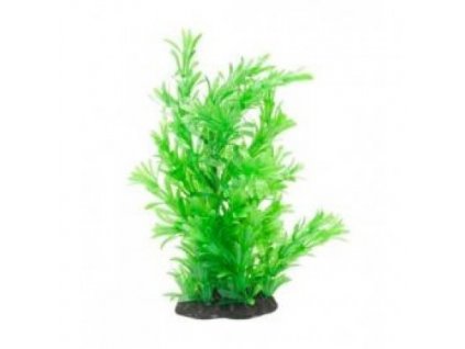Akvarijní rostlina Premium Small 316 18 - 25 cm