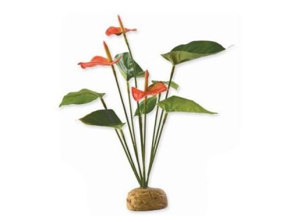 ROSTLINA EXO TERRA ANTHURIUM BUSH 30 CM