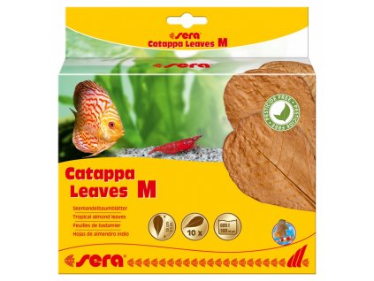 sera catappa leaves m 18 cm 10ks