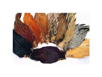 data web e shop muskarsky program vazaci materialy cock capes indian.fill.x400.y400.r0.q85.nr1.me2.bcFFFFFF.offset x50.offset y50