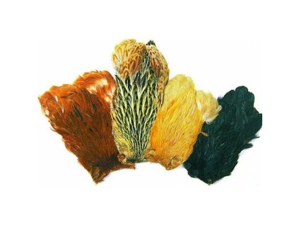 data web e shop muskarsky program vazaci materialy indian hen cape.fill.x400.y400.r0.q85.nr1.me2.bcFFFFFF.offset x50.offset y50