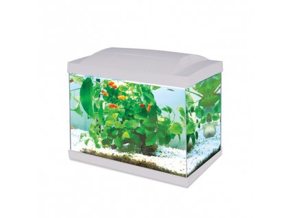 Hailea LED K20 akvarijní set bílý 36 x 23 x 29 cm, 20 l
