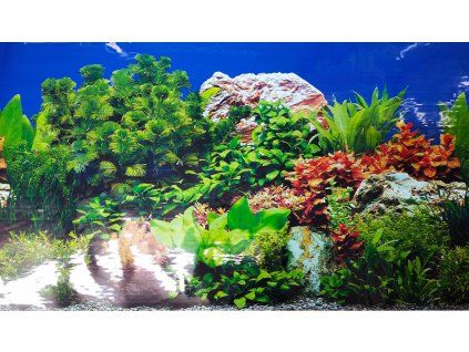 Tapeta Akvarijní květiny/modrá, 49 cm