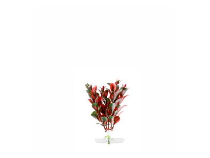 18320 jk animals red ludwigia 13 16 cm 0