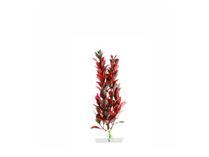 18321 jk animals red ludwigia 18 21 cm 0