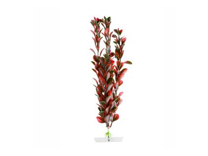 18322 jk animals red ludwigia 25 28 cm 0