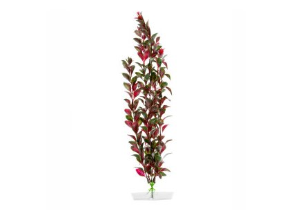 18323 jk animals red ludwigia 38 43 cm 0