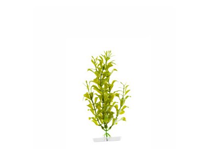 18326 jk animals hygrophila 18 21 cm 0