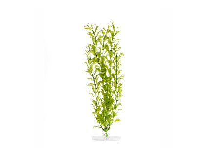 18328 jk animals hygrophila 38 43 cm 0