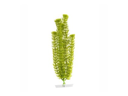 18343 jk animals anacharis 38 43 cm 0