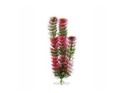 18352 jk animals red anacharis 25 28 cm 0