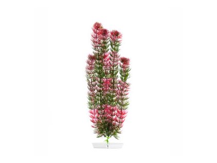 18353 jk animals red anacharis 38 43 cm 0