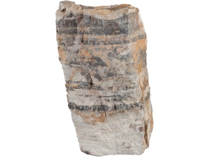 csm 16729 04001942523707a001bhx0101 a54f7ddb25