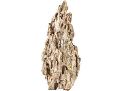 csm 21886 04001942535502a001bhx0101 058f87fbad