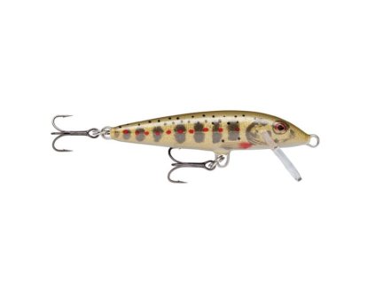 rapala wobler count down sinking gjtr