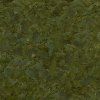 csm sera Flora Nature Detail b19d0d694e