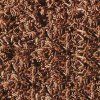 csm sera FD Rote Mueckenlarven Detail 28232b2bf5