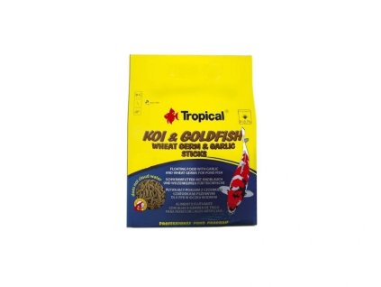 a10889 thb 400 534 ezgif.com webp to jpg converter