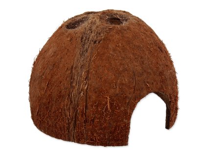 34064 ukryt repti planet coco shell s 1ks