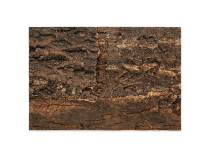 34121 pozadi repti planet korek prirodni 28 5 x 41 x 2 cm 1ks