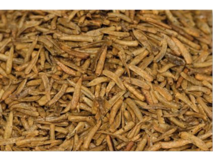 Sušená larva mouchy